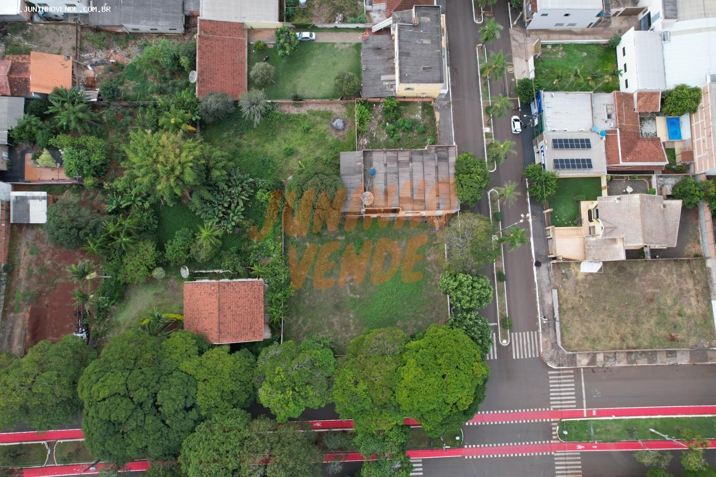 imagem-miniatura