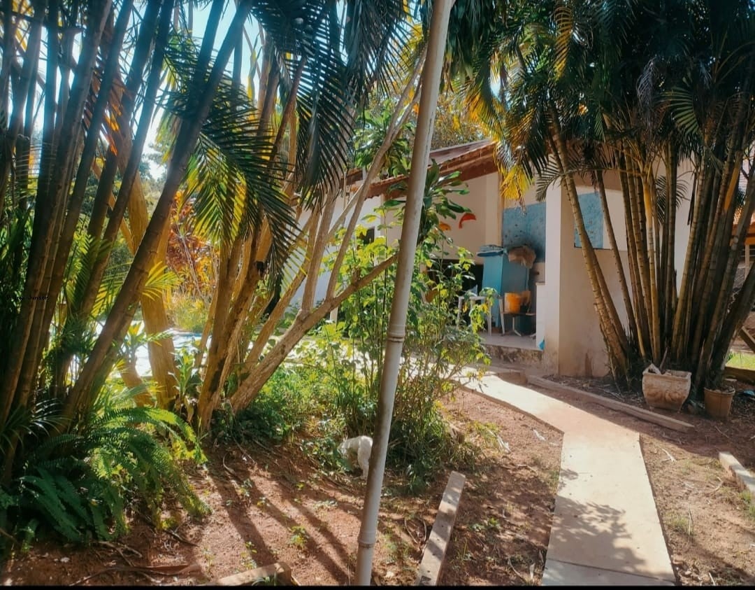 imagem-miniatura