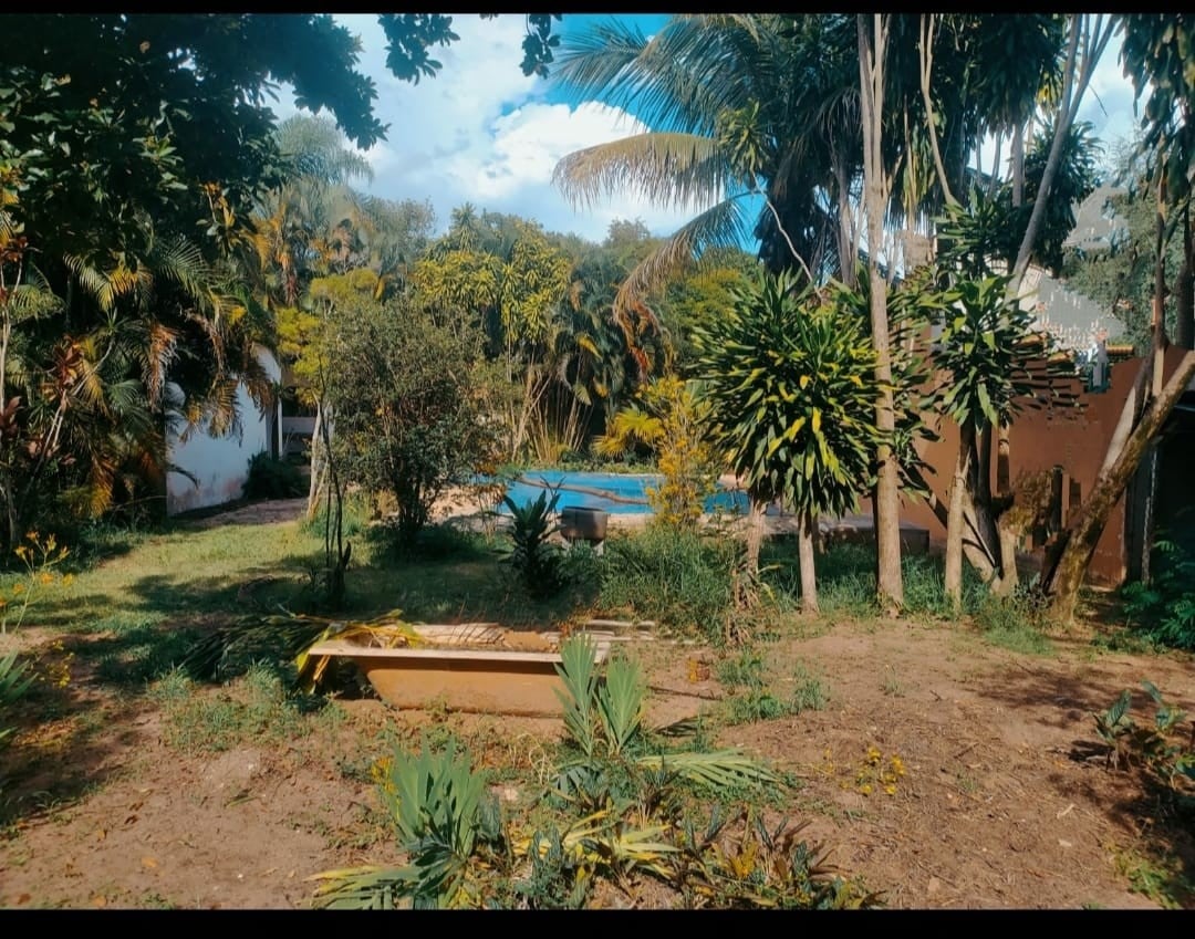 imagem-miniatura
