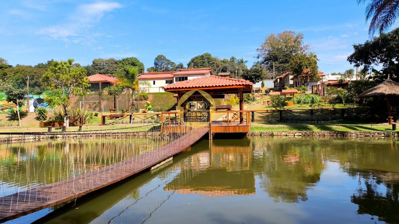 imagem-miniatura