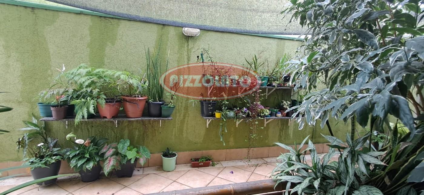 imagem-miniatura