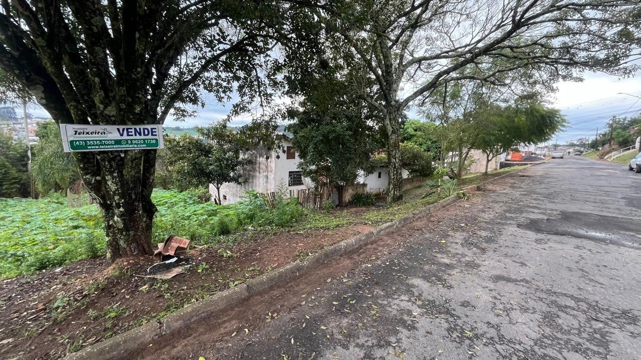 imagem-miniatura