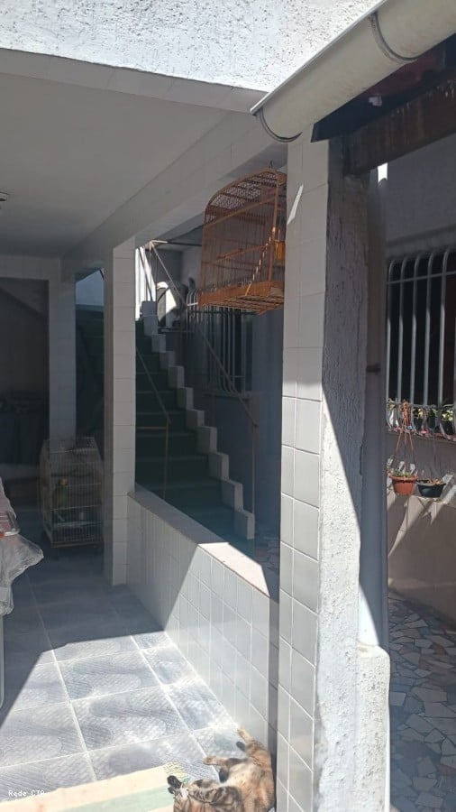 rea nos fundos da casa base