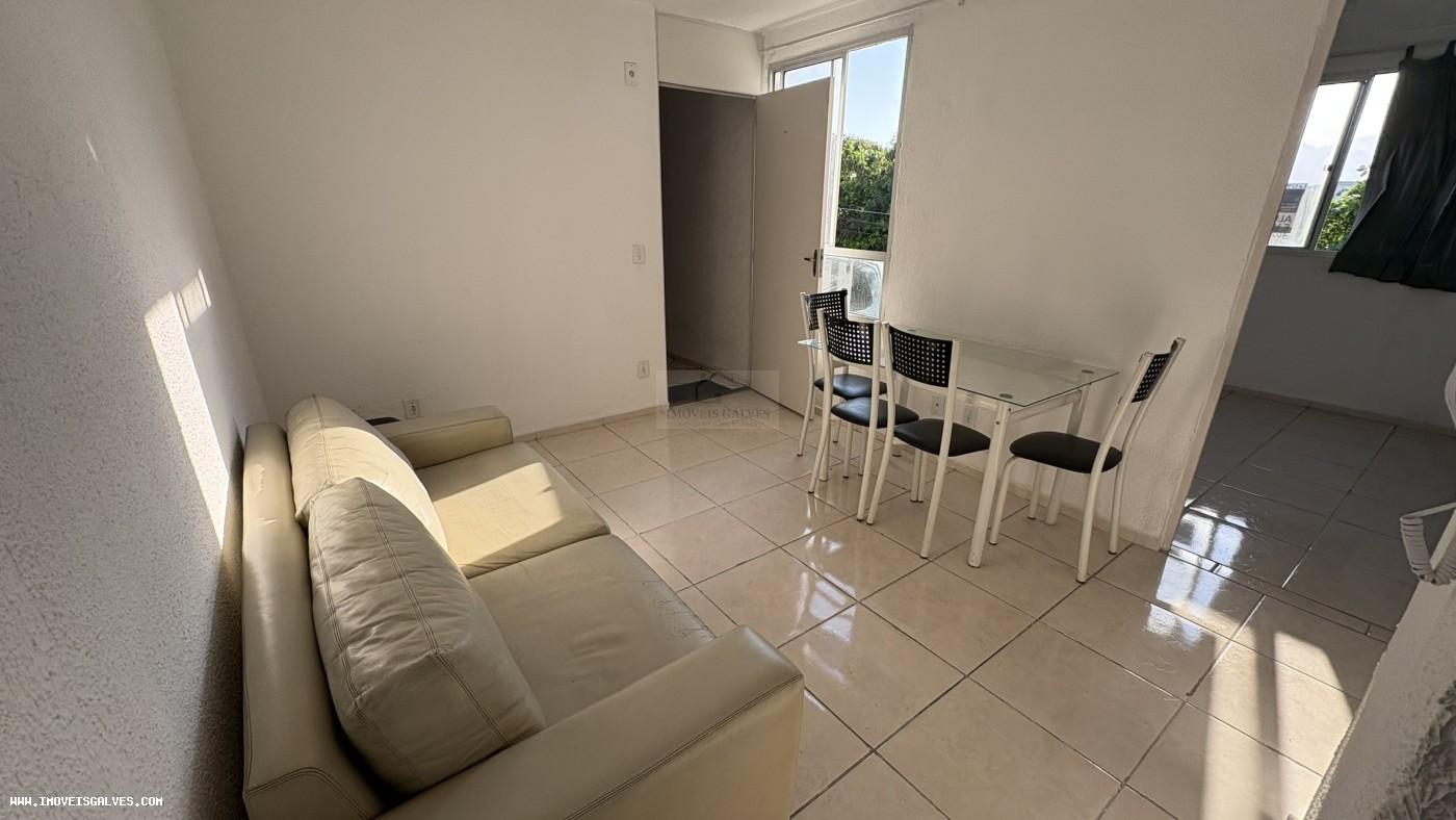 imagem-miniatura