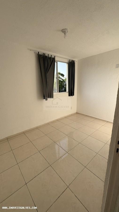 imagem-miniatura
