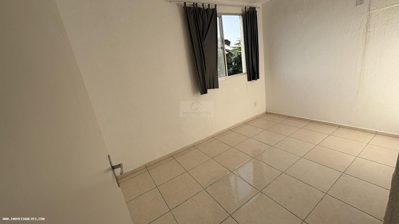imagem-miniatura