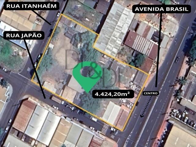 imagem-miniatura