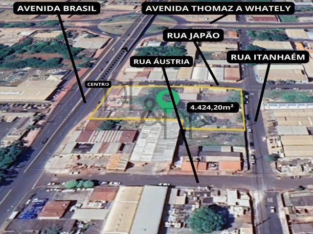 imagem-miniatura
