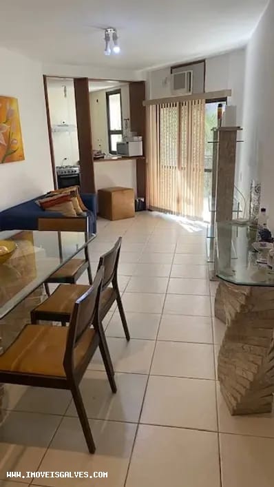 imagem-miniatura