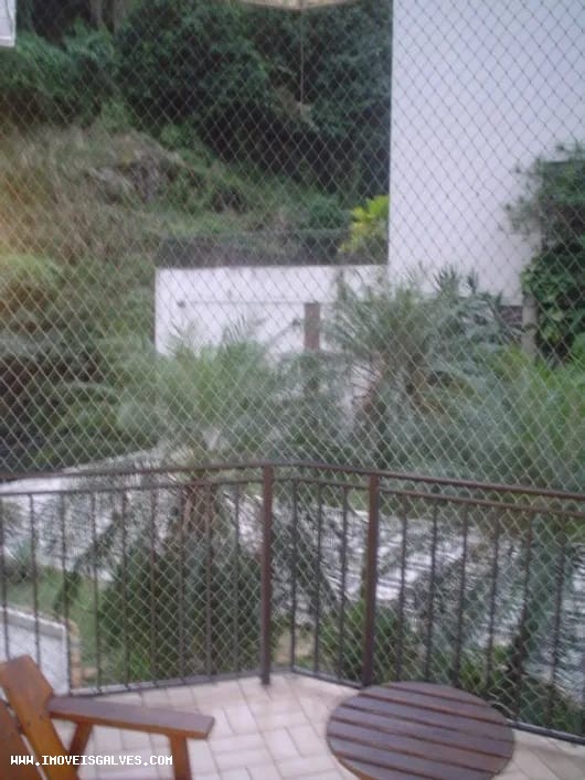 imagem-miniatura