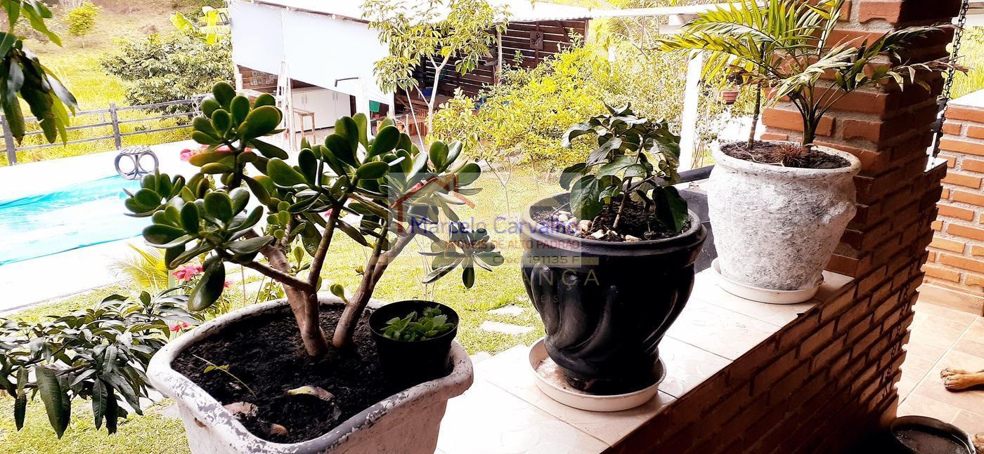 imagem-miniatura