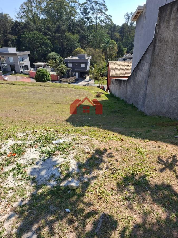 imagem-miniatura