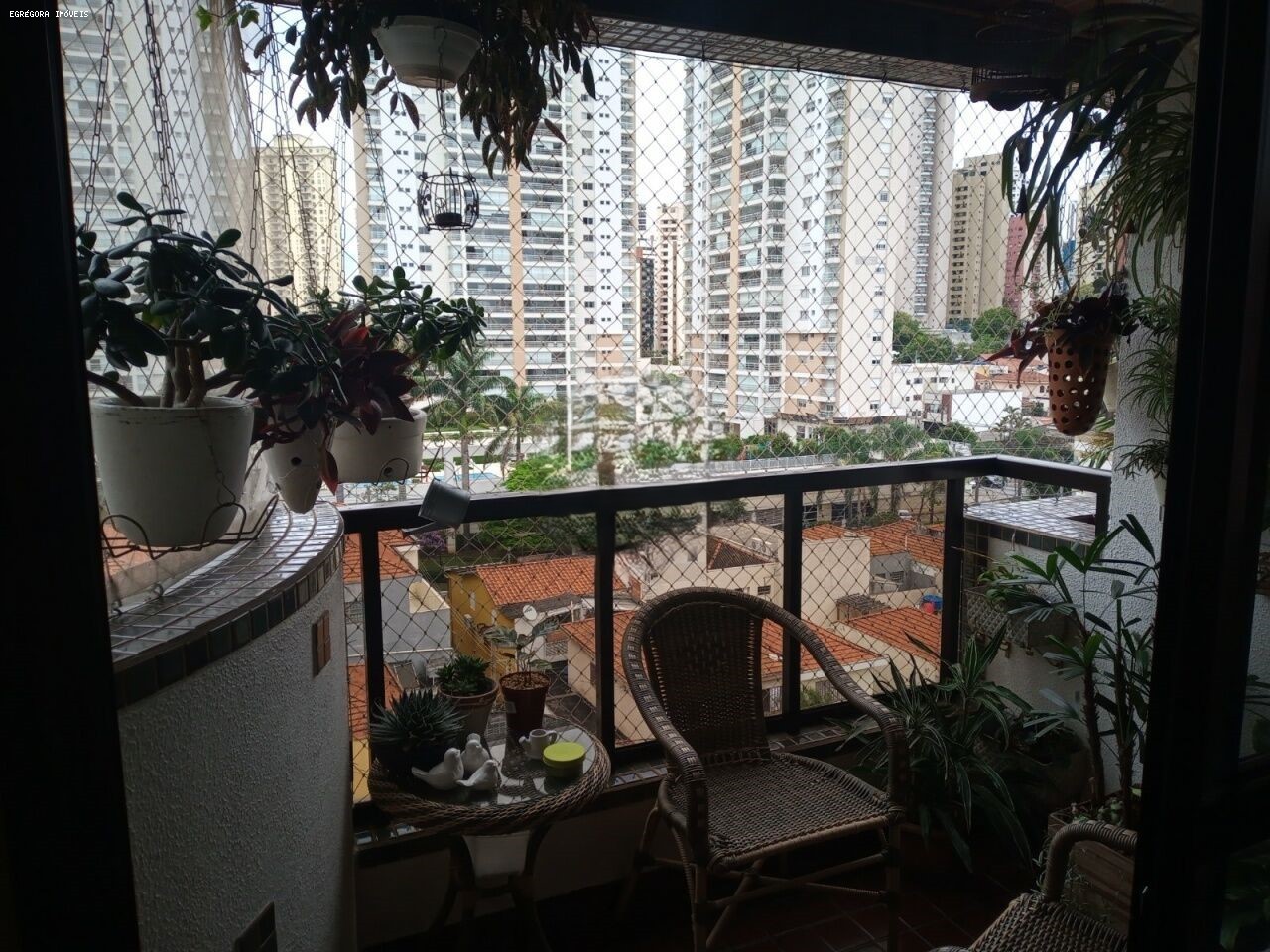 imagem-miniatura