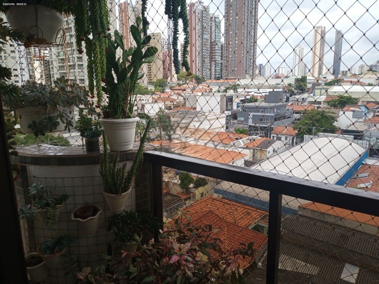imagem-miniatura