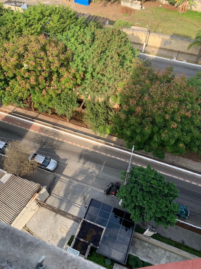 imagem-miniatura