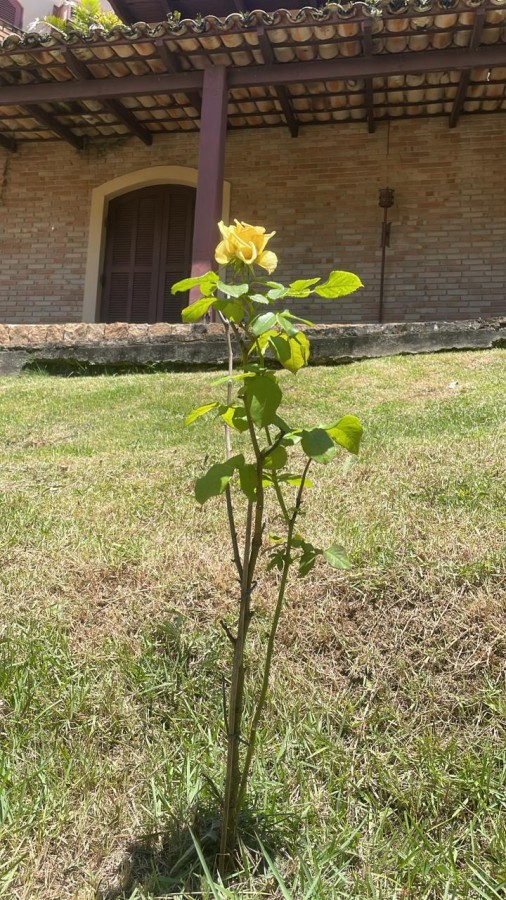 imagem-miniatura
