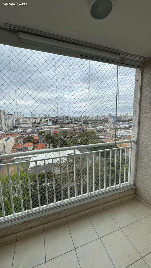 imagem-miniatura