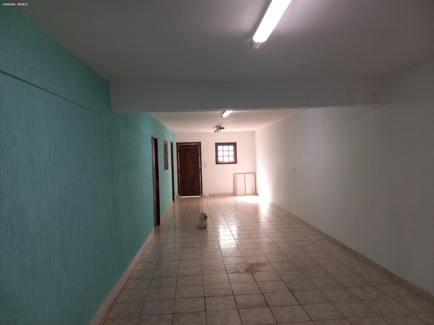 imagem-miniatura