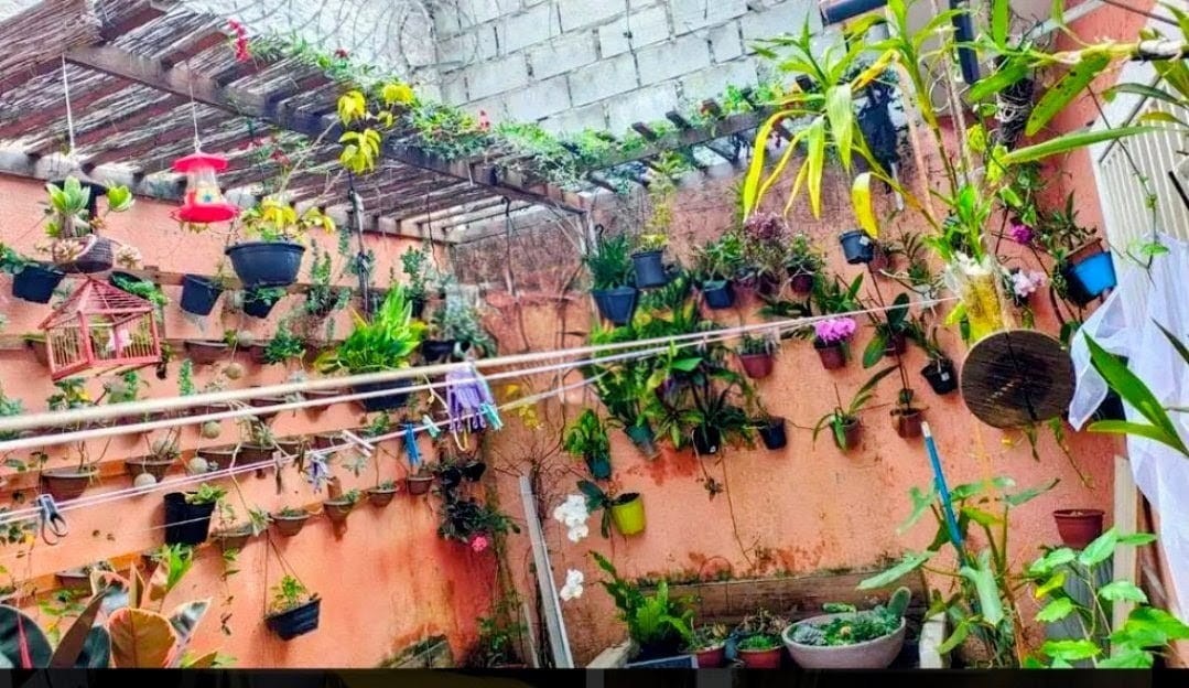 imagem-miniatura