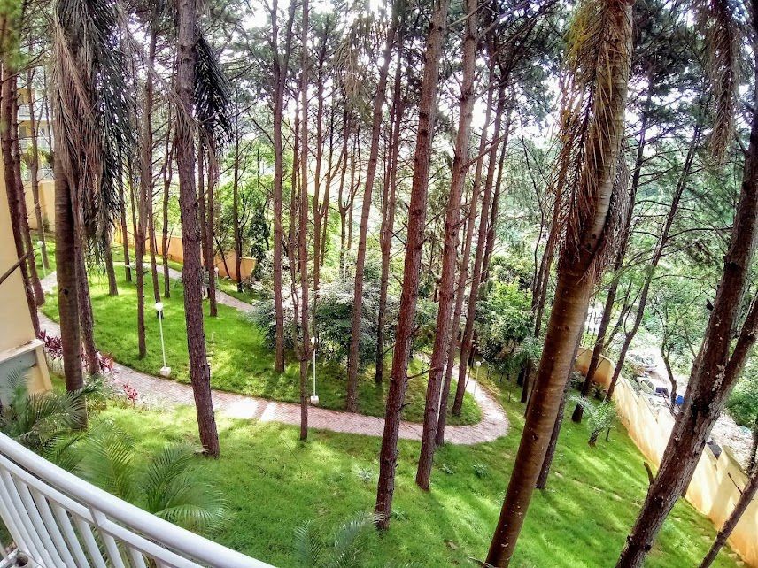 imagem-miniatura
