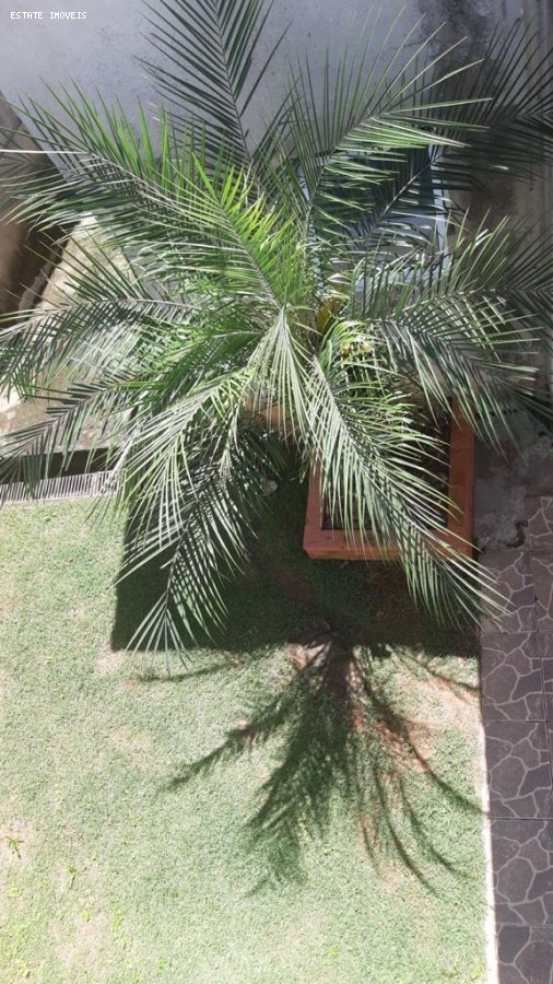 imagem-miniatura