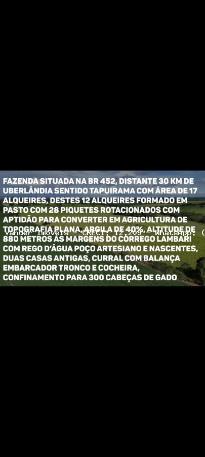 imagem-miniatura