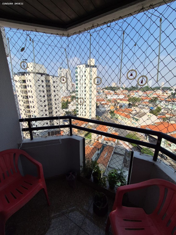 imagem-miniatura