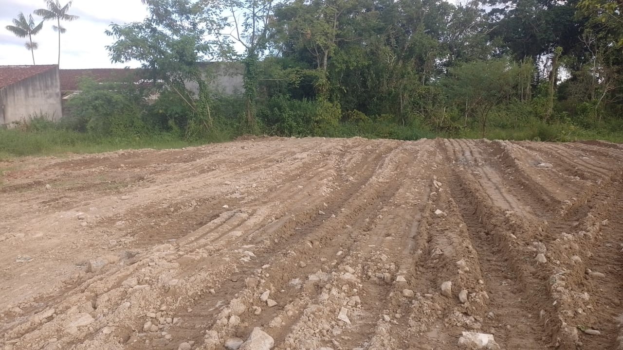 Terreno