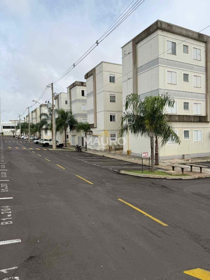 imagem-miniatura