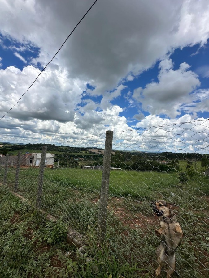 imagem-miniatura