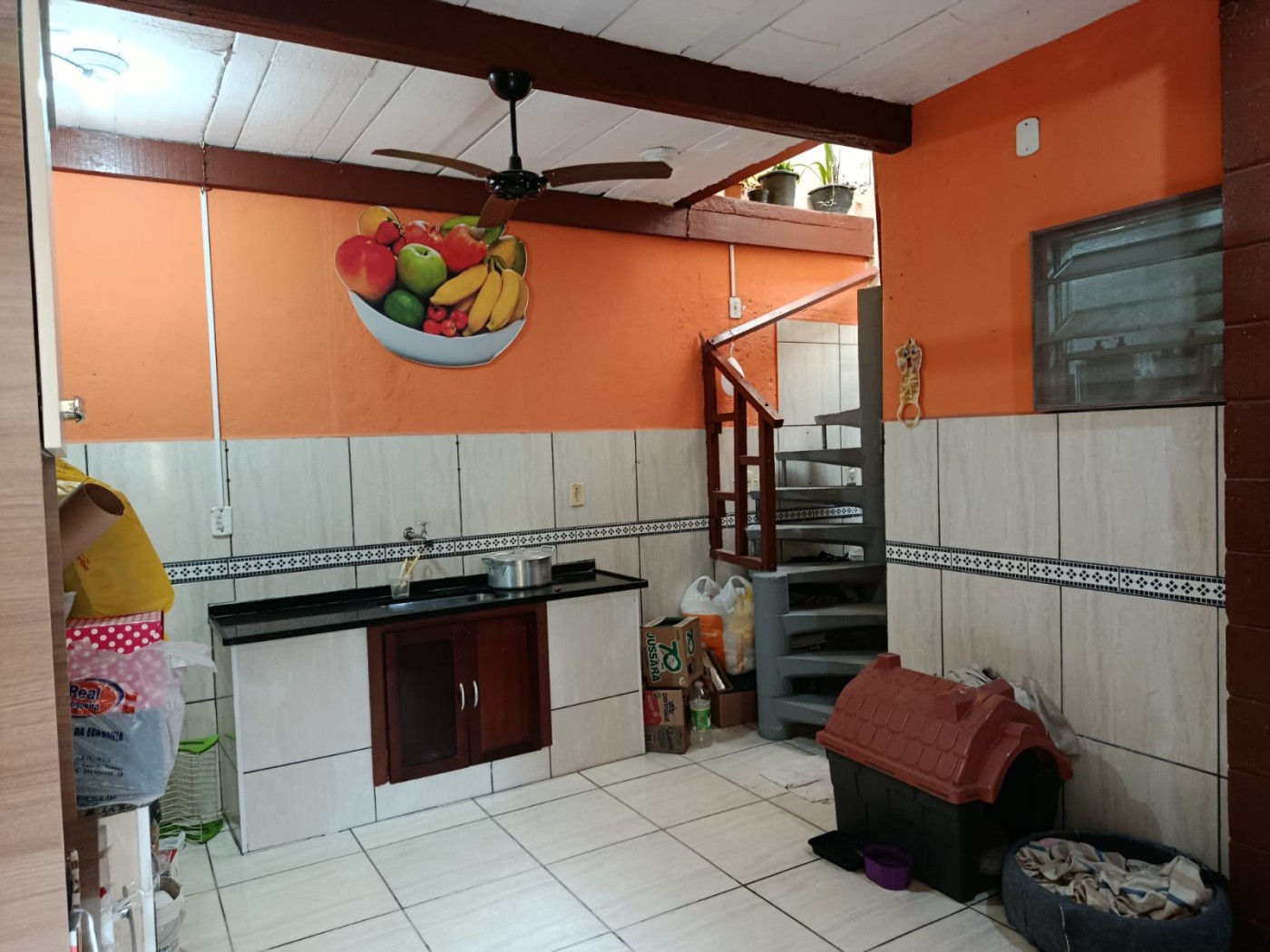 imagem-miniatura