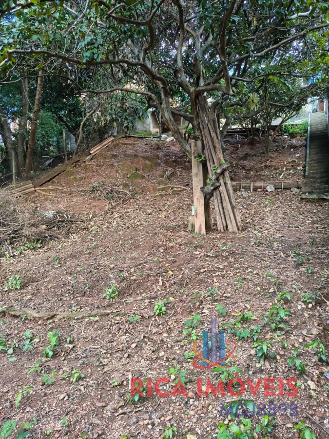 imagem-miniatura