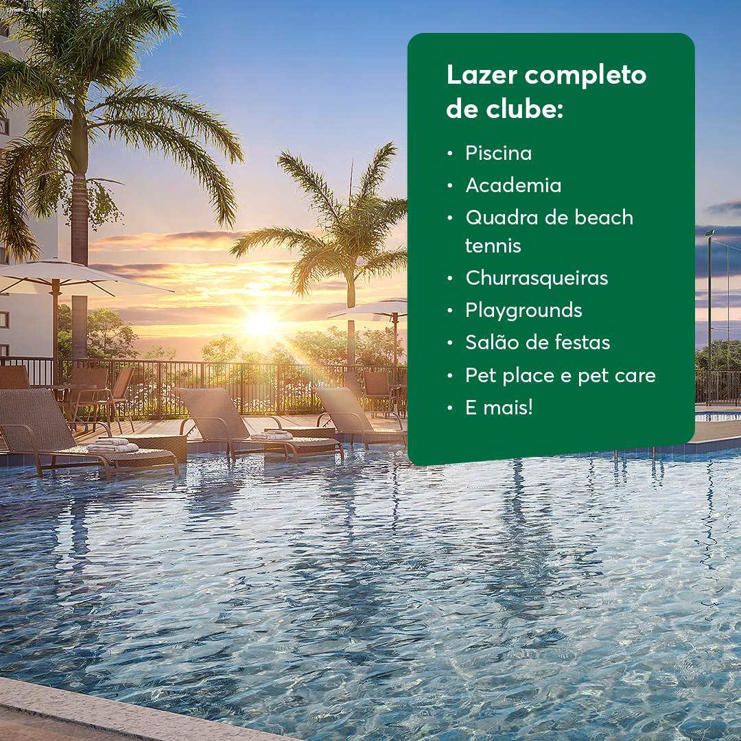 imagem-miniatura