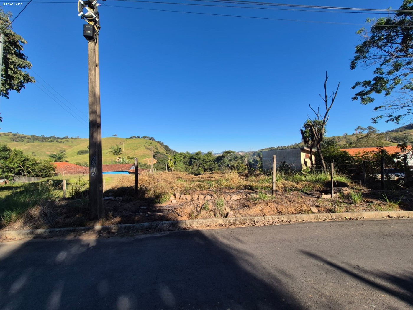 frente