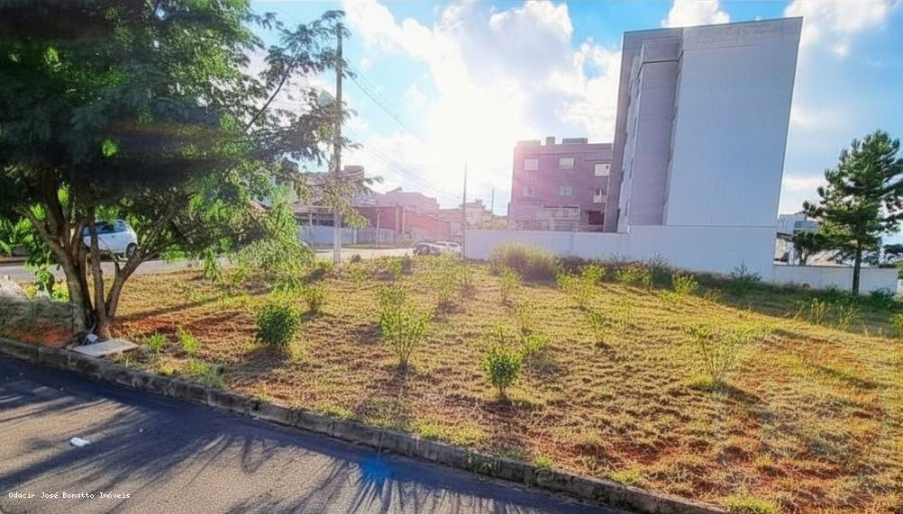 imagem-miniatura