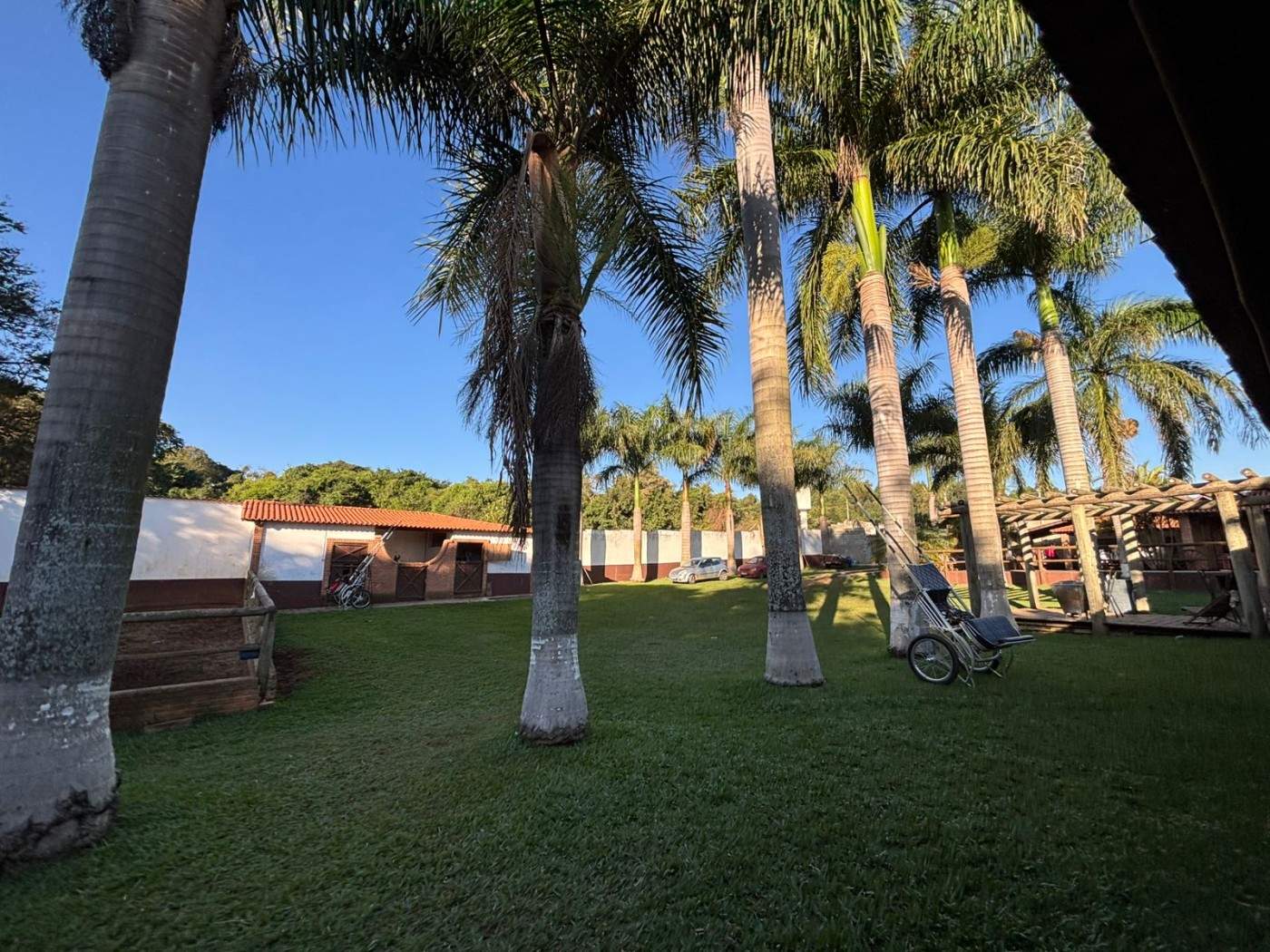 imagem-miniatura