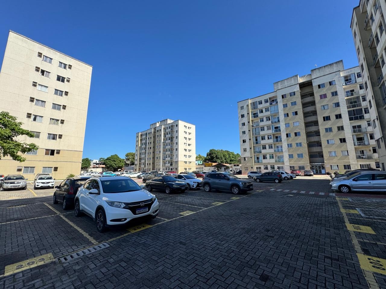 imagem-miniatura