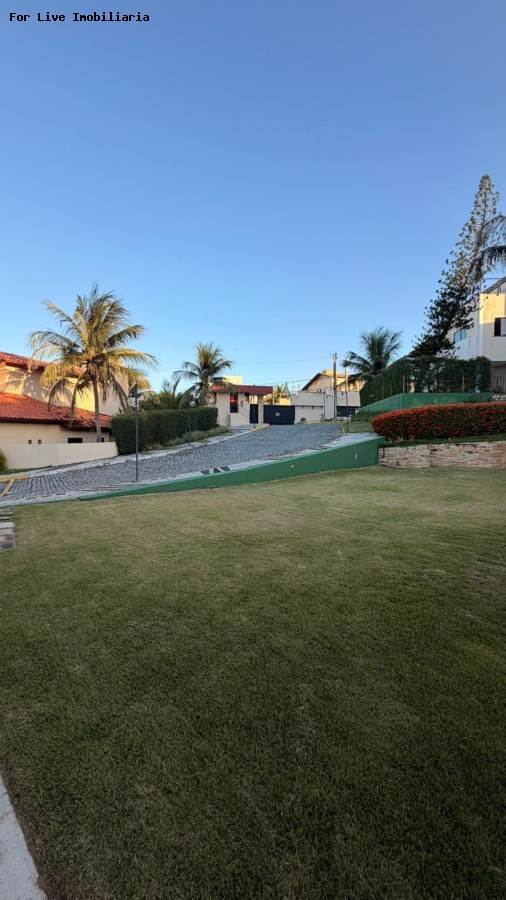 imagem-miniatura