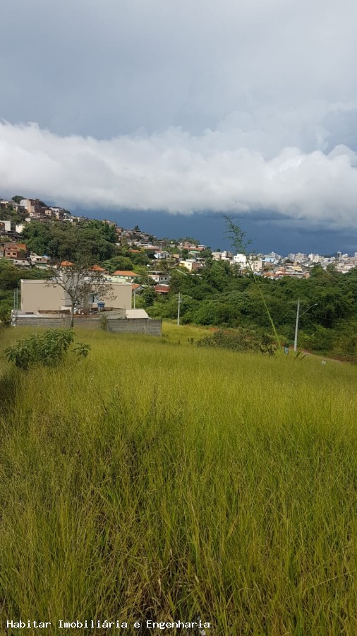 imagem-miniatura