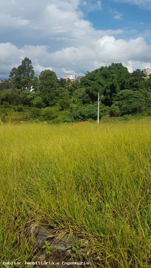 imagem-miniatura