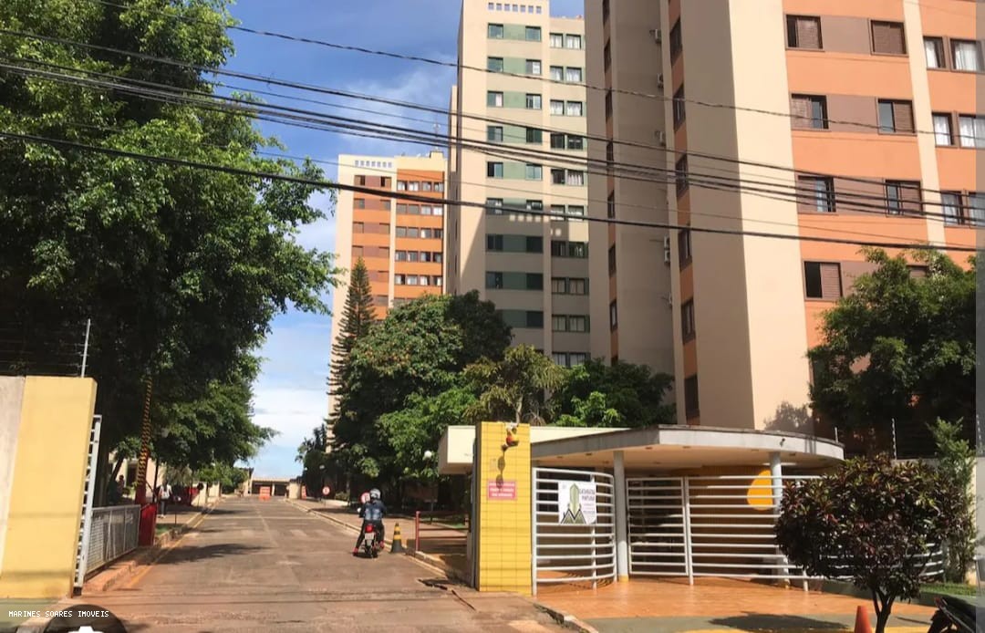 imagem-miniatura