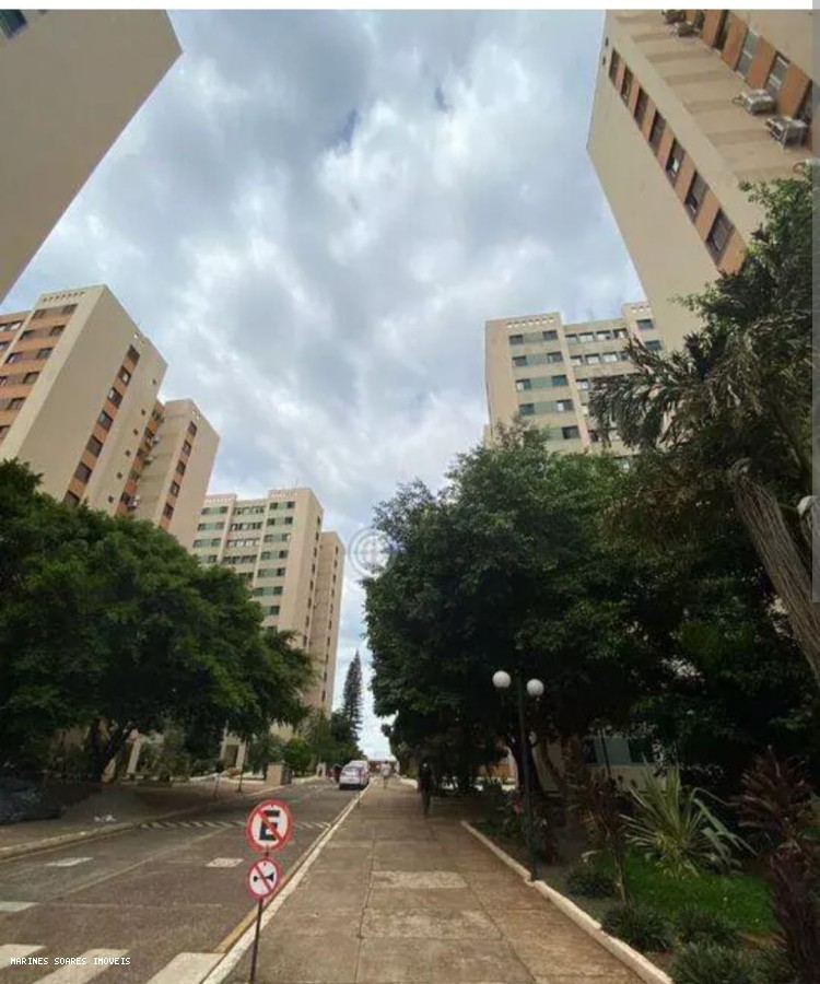 imagem-miniatura
