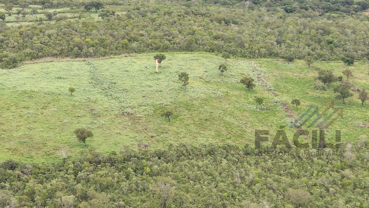 imagem-miniatura