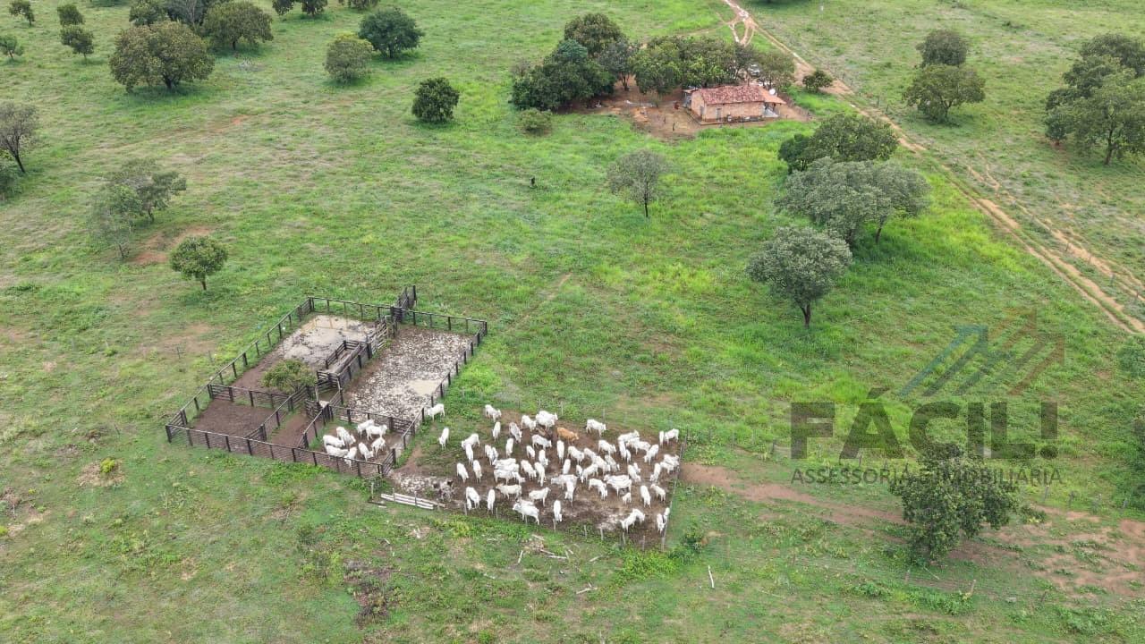 imagem-miniatura