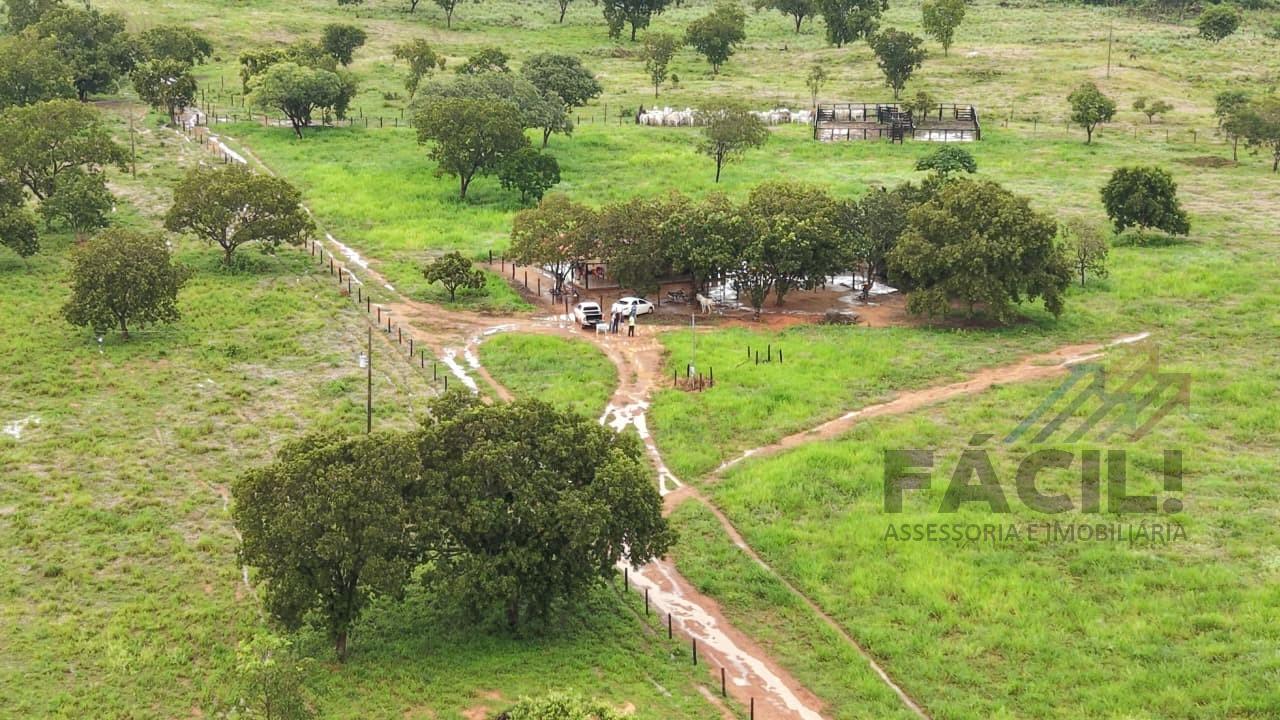 imagem-miniatura