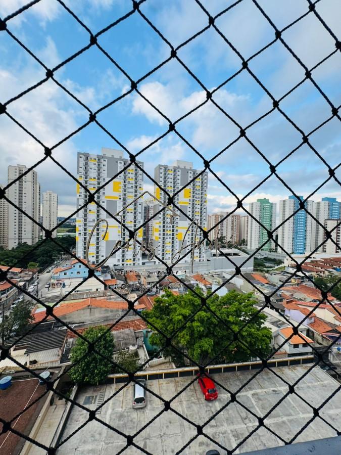 imagem-miniatura