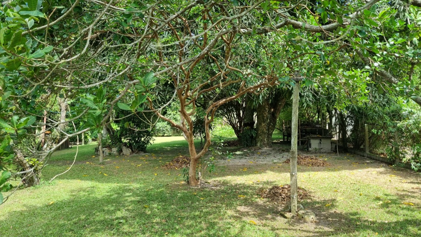 imagem-miniatura