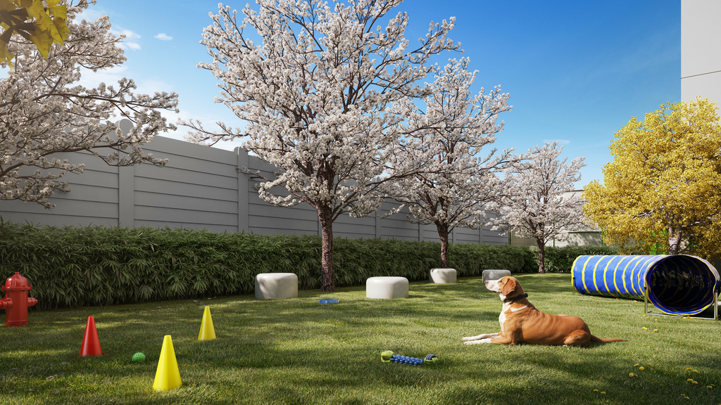 Pet place