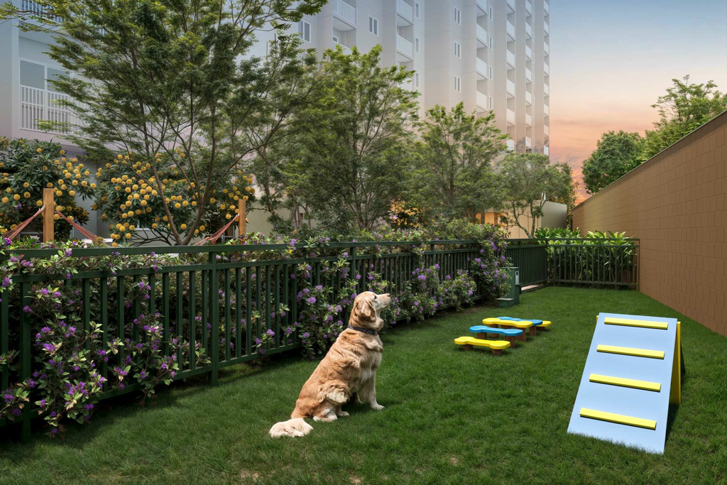 Pet place