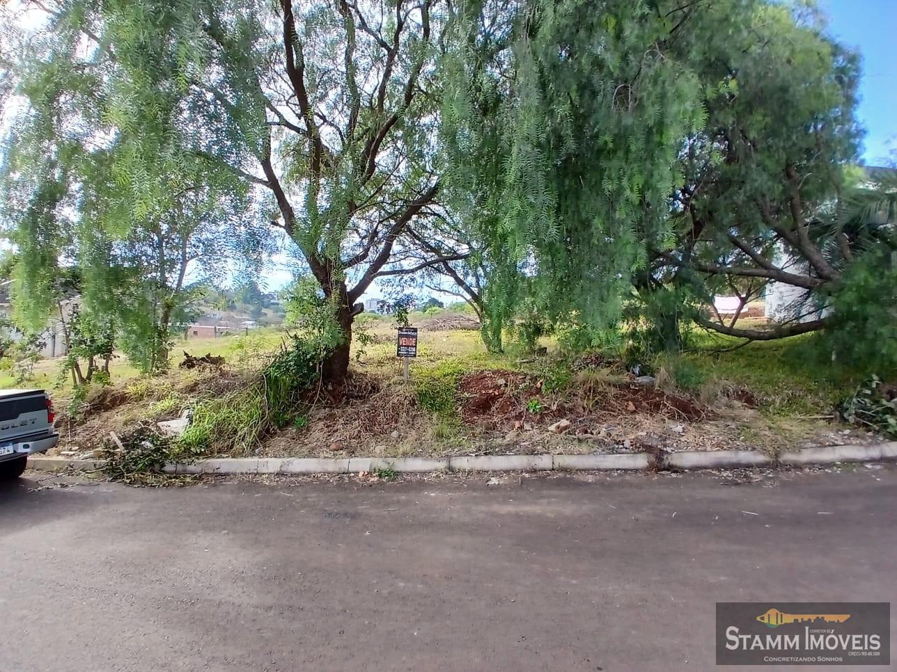 Terreno para Venda, em Carazinho, bairro Dileta